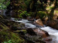 Whillan Beck Gorge