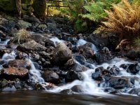 Low Birker Beck