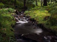 Hartley beck Summertime