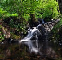 Waterfalls