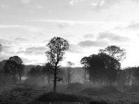 Dalegarth after the felling