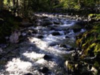           River Esk Morning Sun