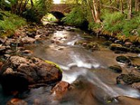 Beck Foot Bridge over  Whillan Beck