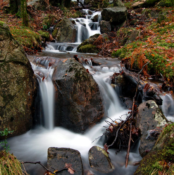 Hartley Beck