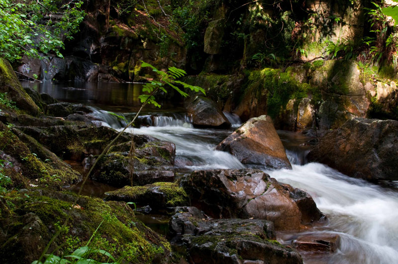 Whillan Beck Gorge