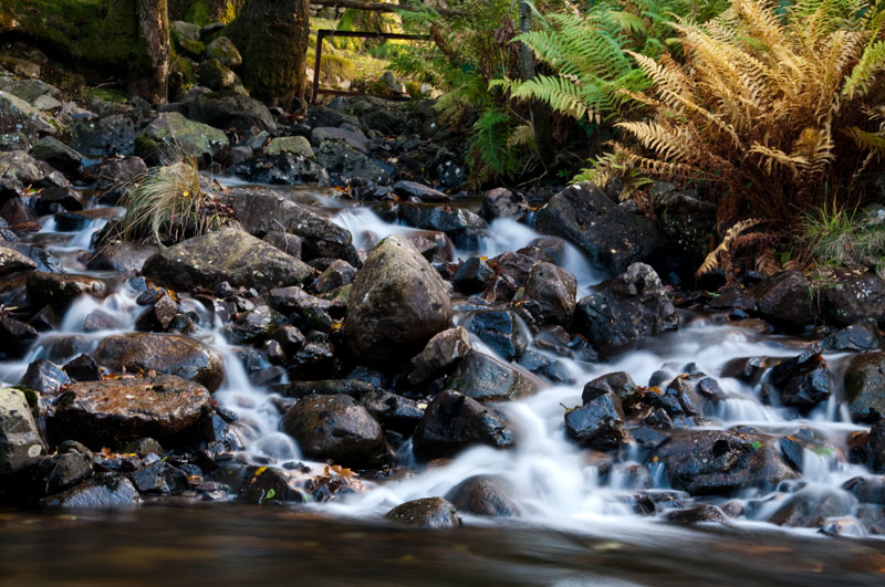 Low Birker Beck