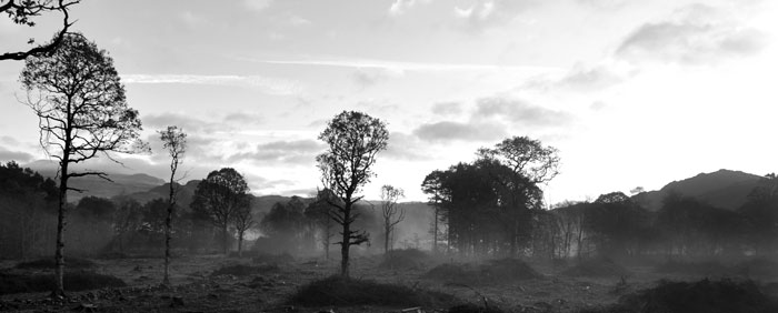 Dalegarth after the felling