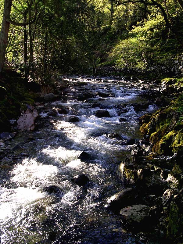           River Esk Morning Sun