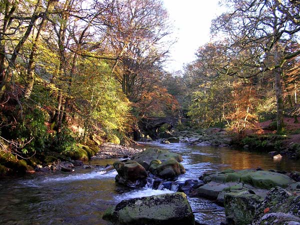           Trough House Bridge Autumn