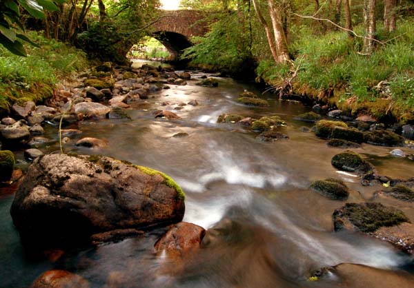 Beck Foot Bridge over  Whillan Beck