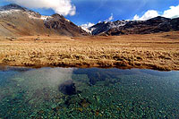 Great Moss Upper Eskdale